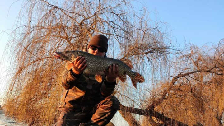 Évnyitó rapid peca
