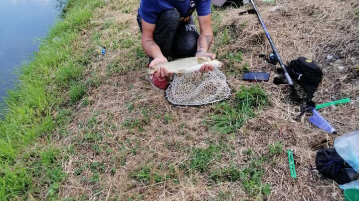 La mia prima cattura