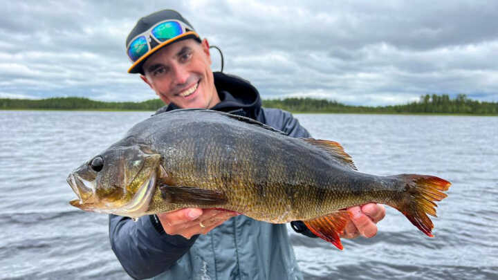 Jak było w Laponii?