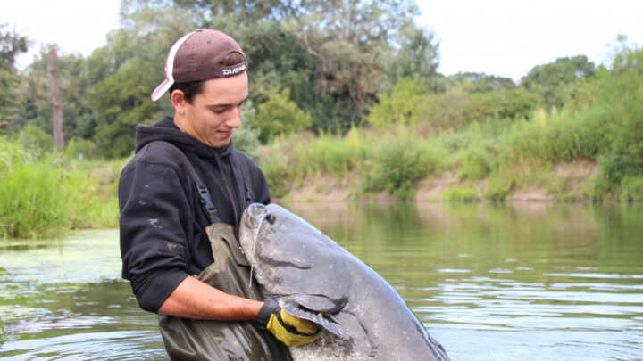 Základy lovu SUMCE | ČÁST 4. |