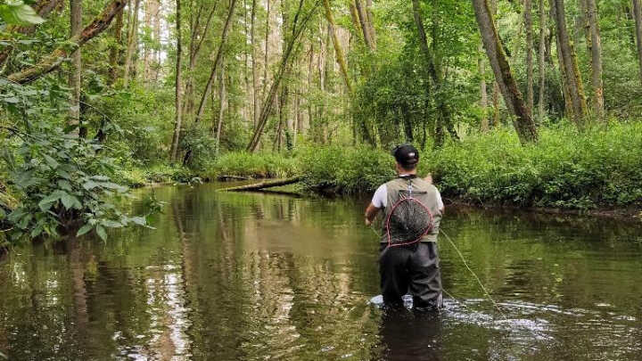River fishing: general guidelines, tips, and techniques