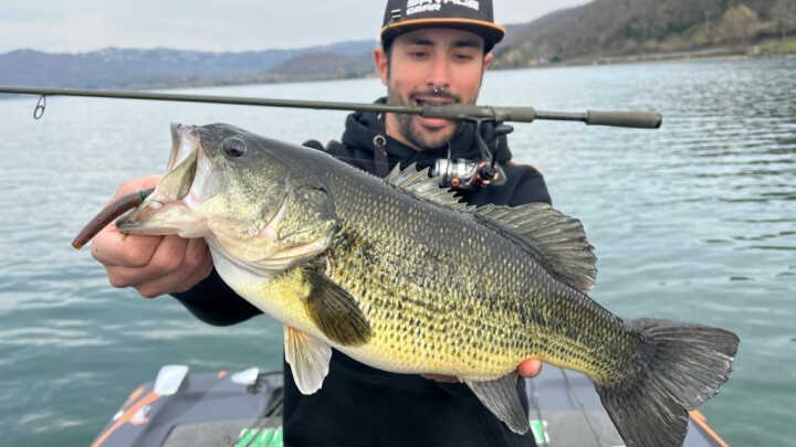 La stagione dei bass è iniziata