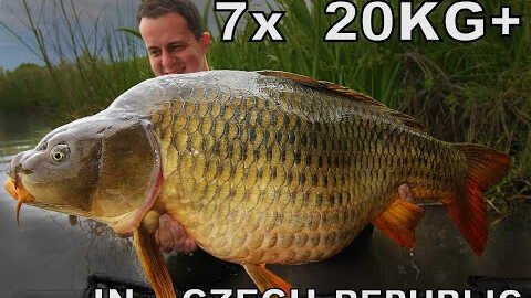 7 kaprů přes 20 kg během týdnu na české vodě