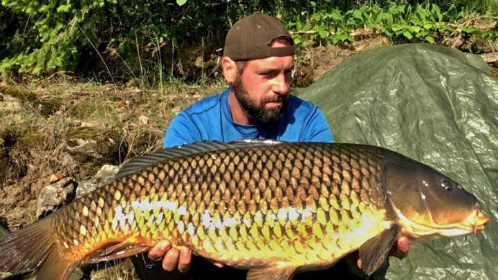 Roční období kapraře - díl druhý