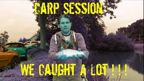 Karper in Noord Holland