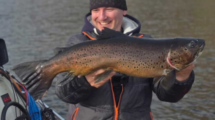 Ferox Trout from Scottish Lochs