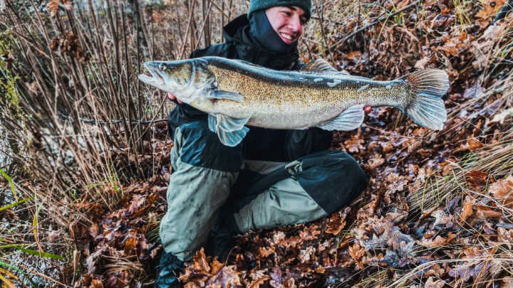 RECEPT NA CANDÁTY # 2