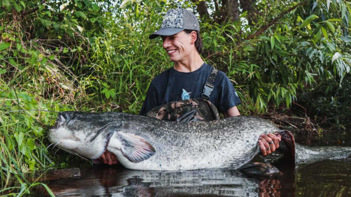 SUMČÍ LÉTO V PLNÉM PROUDU