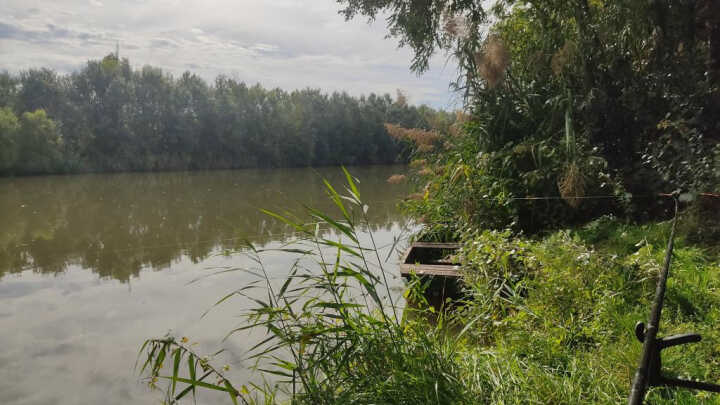 Kurca avagy a vadvíz visszavágó🎣⚠️