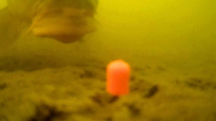 První zkouška podvodní kamery