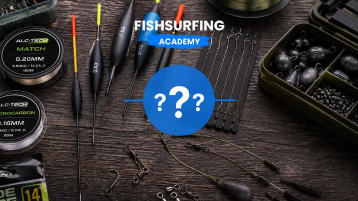 Fishing tackle setup - from main line to the hook