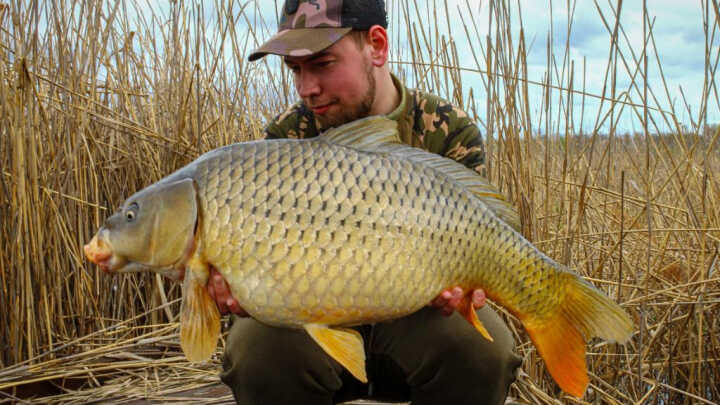 Tour de Arizonacarp lake