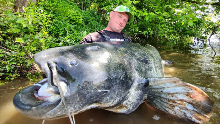 Sumowy Vertical od podstaw cz.2