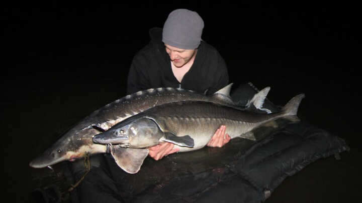 Na lovu pravěkých monster