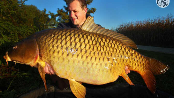 Za velikány ze zarostlých vod