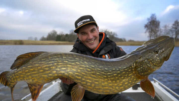 Najgrubsze szczupaki