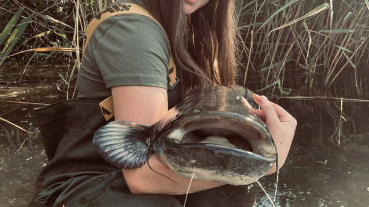 Vzpomínka na nečekané překvapení