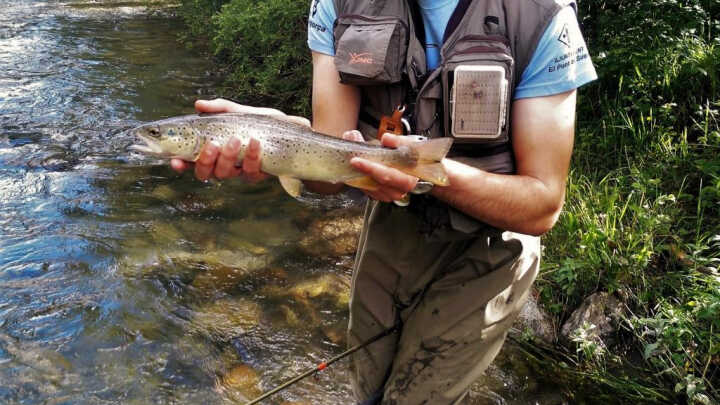 GRANDE Y AZUL - 18/06/2020