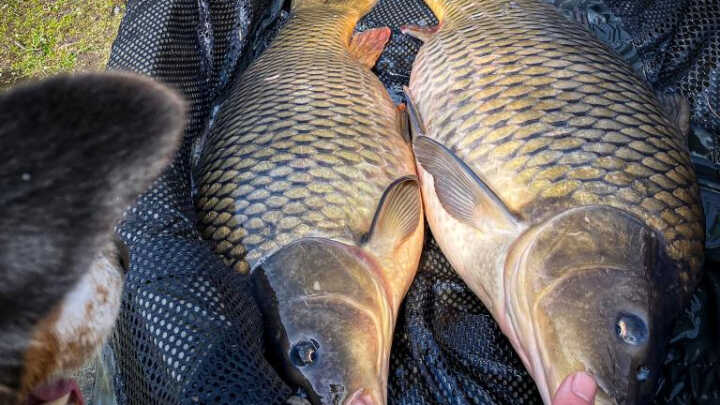 Velikonoční Labe 2022