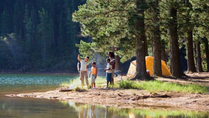 Escape the city while social distancing