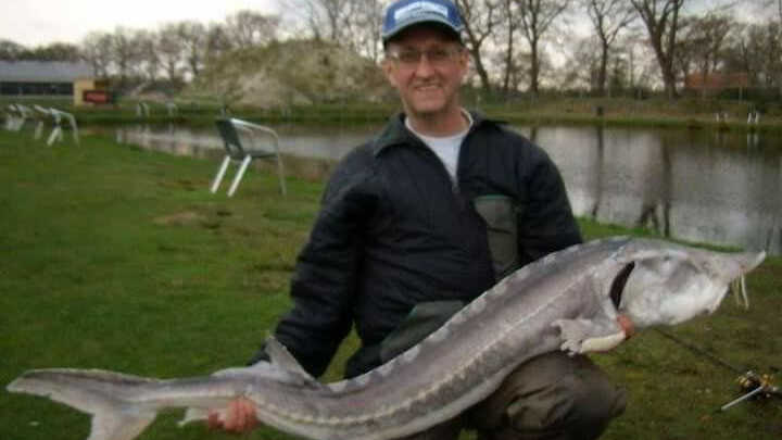 steur, meerval en karper vissen