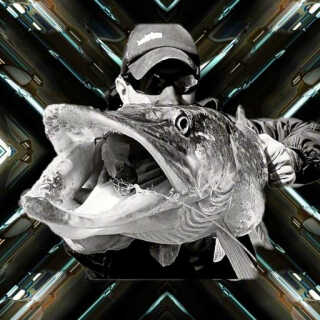 Pesca De Depredadores