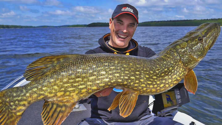 Co przygotowałem na Maj
