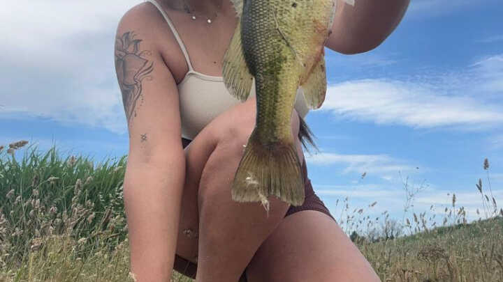 Un día buscando BLACK BASS