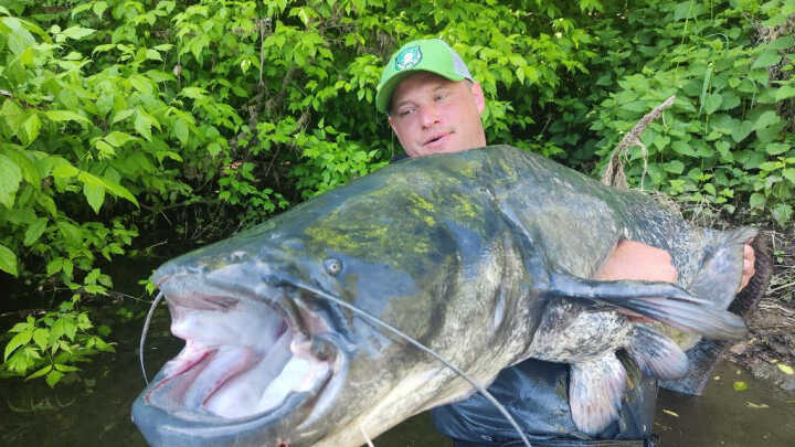 Sumowy Vertical od podstaw cz.1