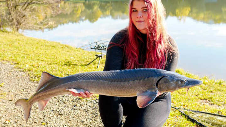 Za Sportovními Revíry 17 - Údolí jeseterů