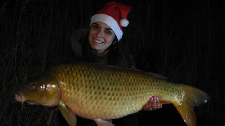 Pesca de Navidad 🎄🎅🏻