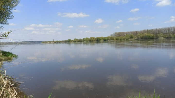 „Szczupakowa” majówka 2022, czyli spacer z wędką.