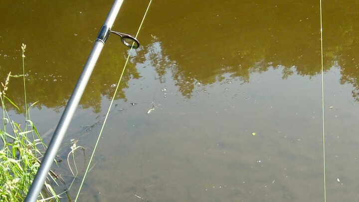 Nebezpečí ve vodě 😭