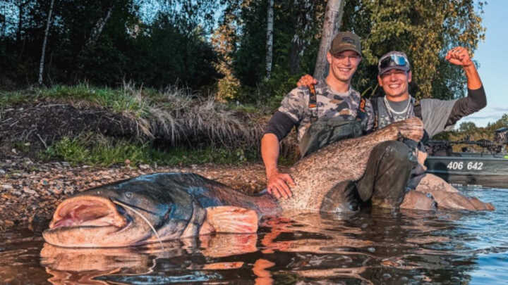 Sumec jako symbol vzpomínek a přátelství