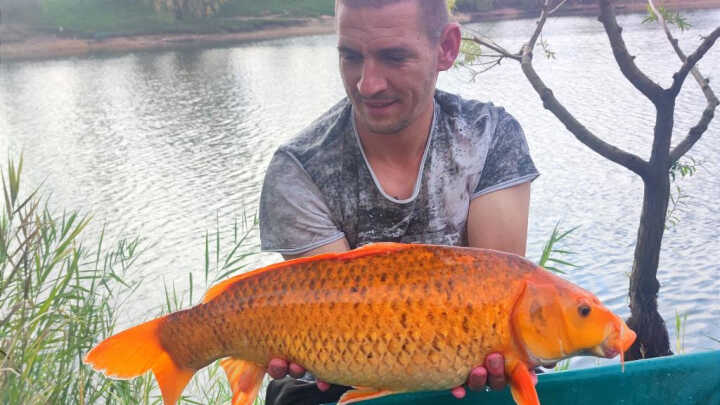 Koi 1 horgásztó 48 órás verseny 😁.