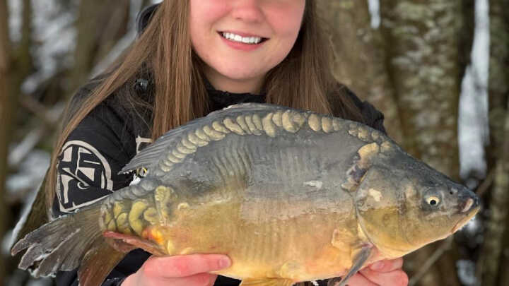 Karpie z zimnej wody cz. I.