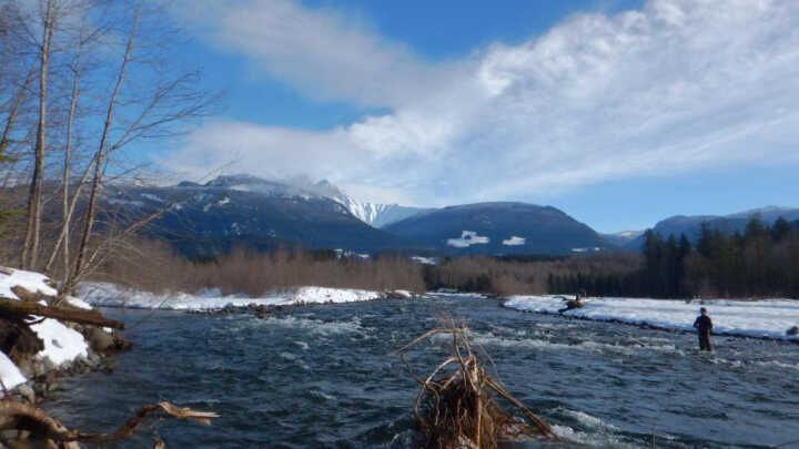 Únor bílý, tahy sílí. ...