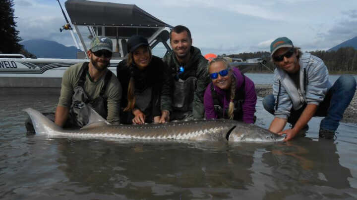 Kanadský deník 2017 / 08 srpen / @mdx