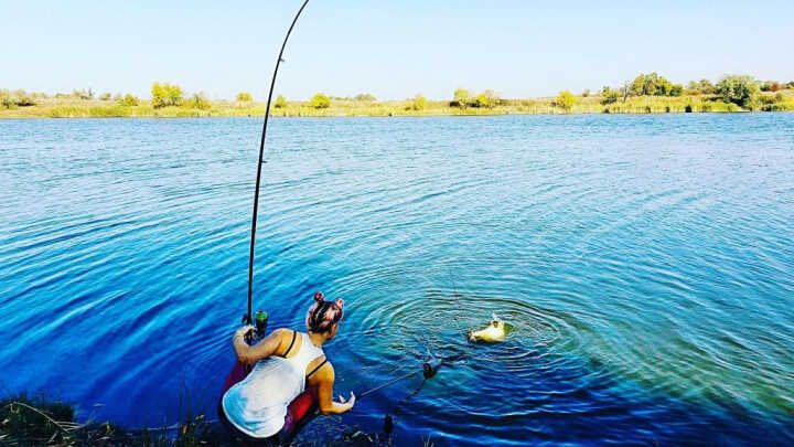 Тигровый орех