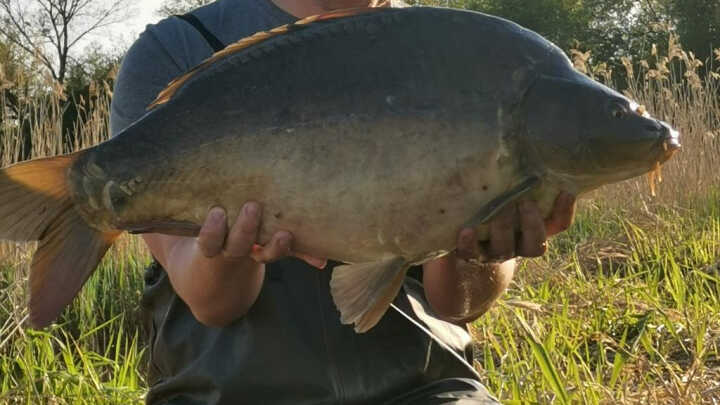 Karpiowy stalking :)