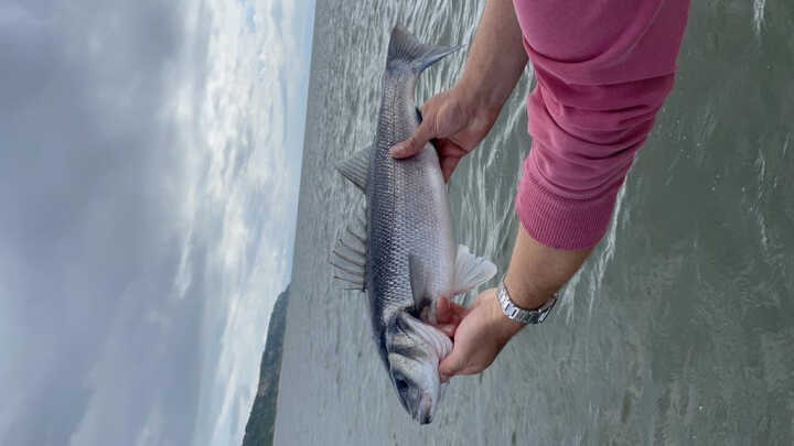 Une journée riche et mouvementée !