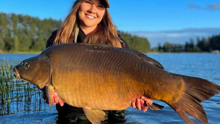 Spontaniczny udział w zawodach- ciąg dalszy.