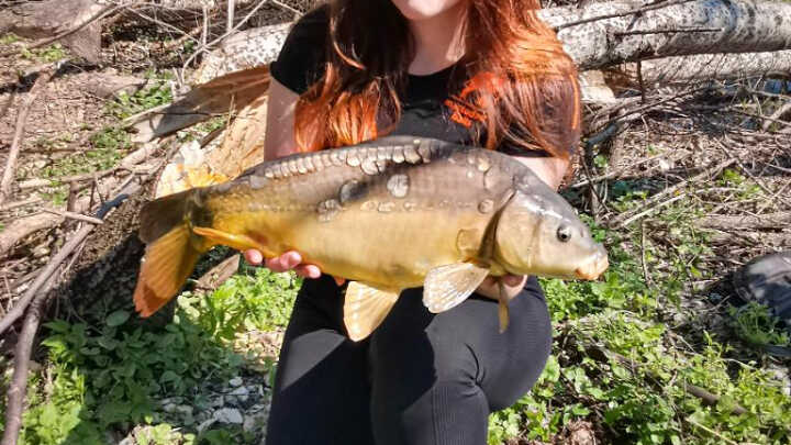 Návrat k začátkům -Odstavené rameno