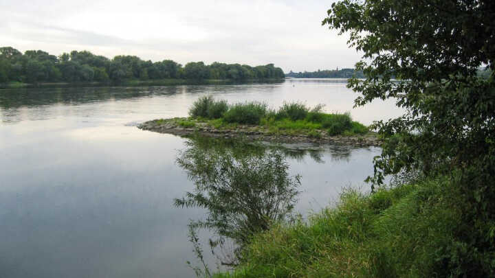 Anatomia rzecznej ostrogi