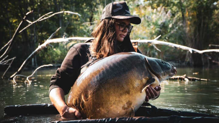 Egy költözés története - 2/1