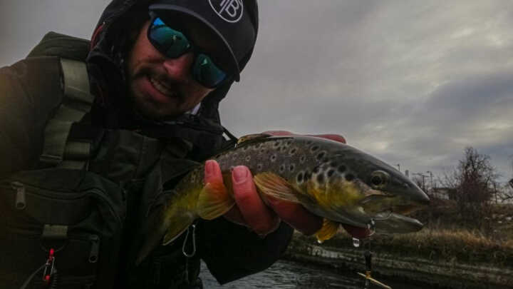 Февруарски пъстърви / February trouts