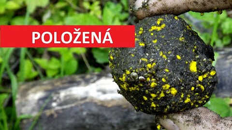 TOP krmení na kapry do teplé vody