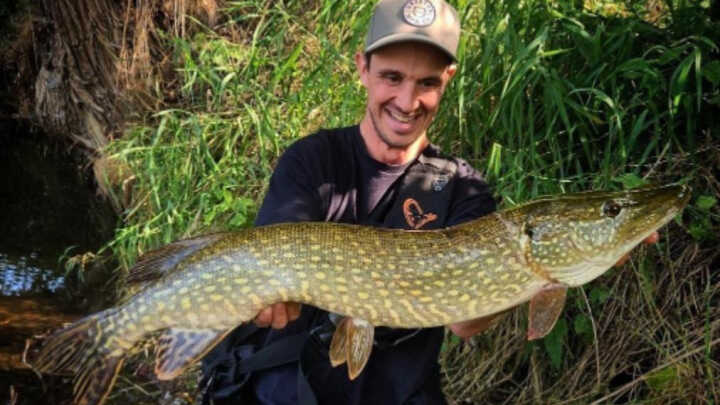 KRÁLOVNA Z HLUBIN! ŠTIKA, KTERÁ VZALA DECH