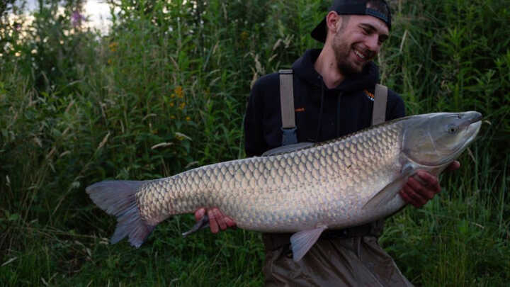 A double grass carp record on a wild Polish water