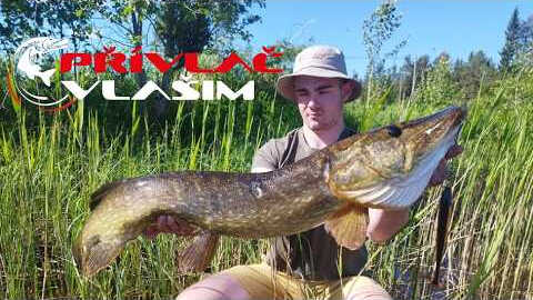 Letošní výprava do Švédska